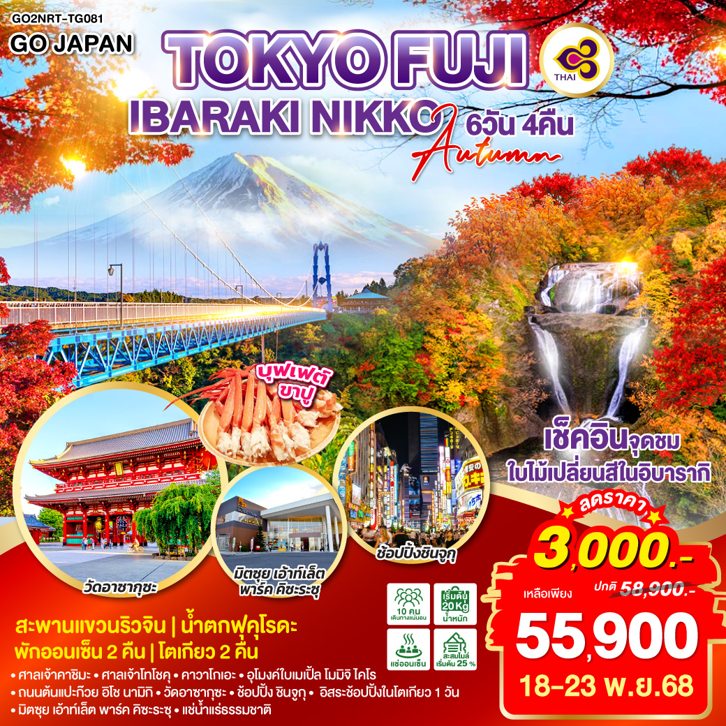 เชคอินจุดชมใบไม้เปลี่ยนสีในอิบารากิ – สะพานแขวนริวจิน – น้ำตกฟุคุโรดะ – ศาลเจ้าคาชิมะ – ศาลเจ้าโทโชคุ – คาวาโกเอะ – อุโมงค์ใบเมเปิ้ล โมมิจิ ไคโร – ถนนต้นแปะก๊วย อิโช นามิกิ – วัดอาซากุซะ – ช้อปปิ้ง ชินจูกุ – มิตซุย เอ้าท์เล็ต พาร์ค คิซะระซุ – อิสระช้อปปิ้งในโตเกียว 1 วัน – แช่น้ำแร่ธรรมชาติ 2 คืน – เมนูบุฟเฟต์ขาปู