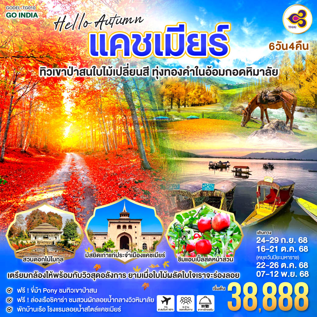เตรียมกล้อง ให้พร้อมกับวิวสุดอลังการ ยามเมื่อใบไม้ผลัดใบใจเราจะร่องลอย  ชิม แอบเปิ้ล สดหน้าสวน ชมมัสยิดเก่าแก่และศักดิ์สิทธิ์ ประจำเมืองแคชเมียร์
- ฟรีขี่ม้า Pony ชมทิวเขาป่าสน
- ฟรี ล่องเรือชิคาร่า ชมสวนผักลอยน้ำกลางวิวหิมาลัย
- พักบ้านเรือ โรงแรมลอยน้ำสไตล์แคชเมียร์