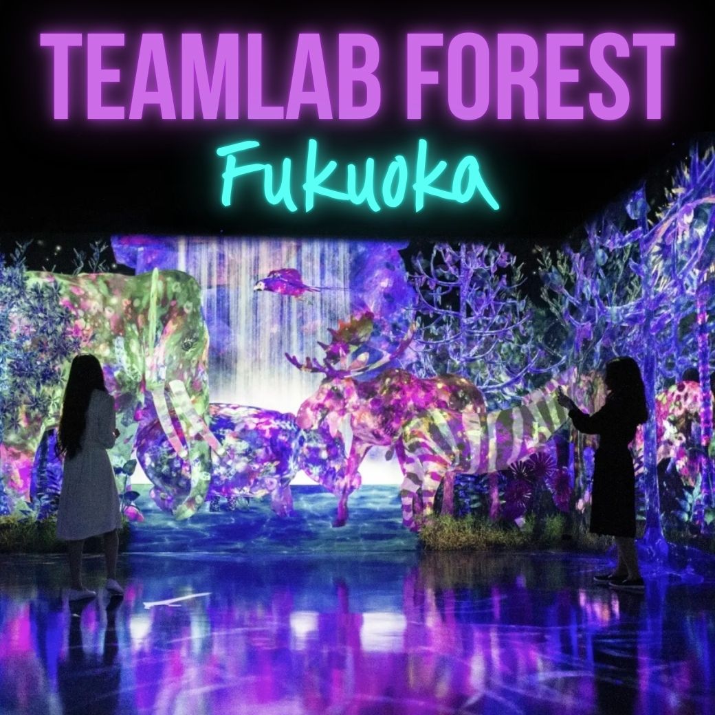 teamLab Forest เป็นพิพิธภัณฑ์ใหม่ที่มีสองนิทรรศการ: 