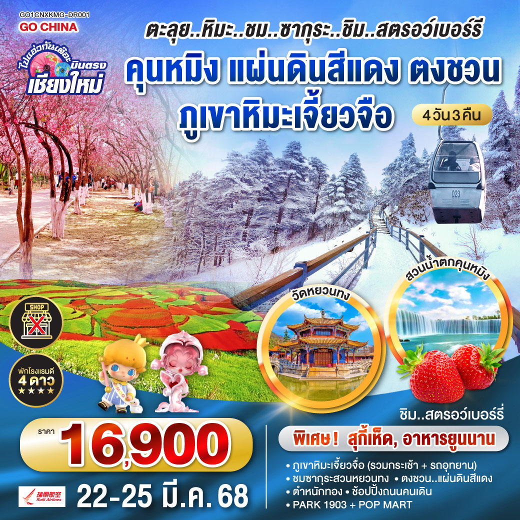 คุนหมิง|ตำหนักทองจินเตี้ยน|สวนน้ำตก|ตงชวนแผ่นดินสีแดงตงชวน|สวนสตอว์เบอร์รี่|ถ่านเตี้ยน
ภูเขาหิมะเจียวจื่อซาน (รถอุทยาน   กระเช้า)|อิสระช้อปปิ้ง POP MART|วัดหยวนทง|สวนหยวนทง(ชมซากุระ)|ช้อปปิ้ง OUTLET PARK 1903