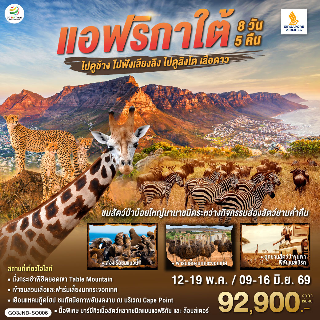สิงคโปร์ – โจฮันเนสเบิร์ก - พริทอเรีย –Union Building  - เมืองซันซิตี้ -  Game Drive - สวนเสือ – โจฮันเนสเบิร์ก - ห้าง Mall of Africa – ช้อปปิ้ง – ลิ้มรสบาร์บีคิวเนื้อสัตว์ – เคปทาวน์ – Table Mountain                     
ฟาร์มนกกระจอกเทศ – ชมไร่ไวน์กรูทคอนสแตนเทีย - วิคตอเรีย แอนด์ อัลเฟรด วอเตอร์ฟร้อนท์ - ล่องเรือชมแมวน้ำ – ถนน Chapman’s Peak - ชมฝูงนกเพนกวิน – ไซมอนทาวน์ – แหลมกู๊ดโฮป – เคปทาวน์
