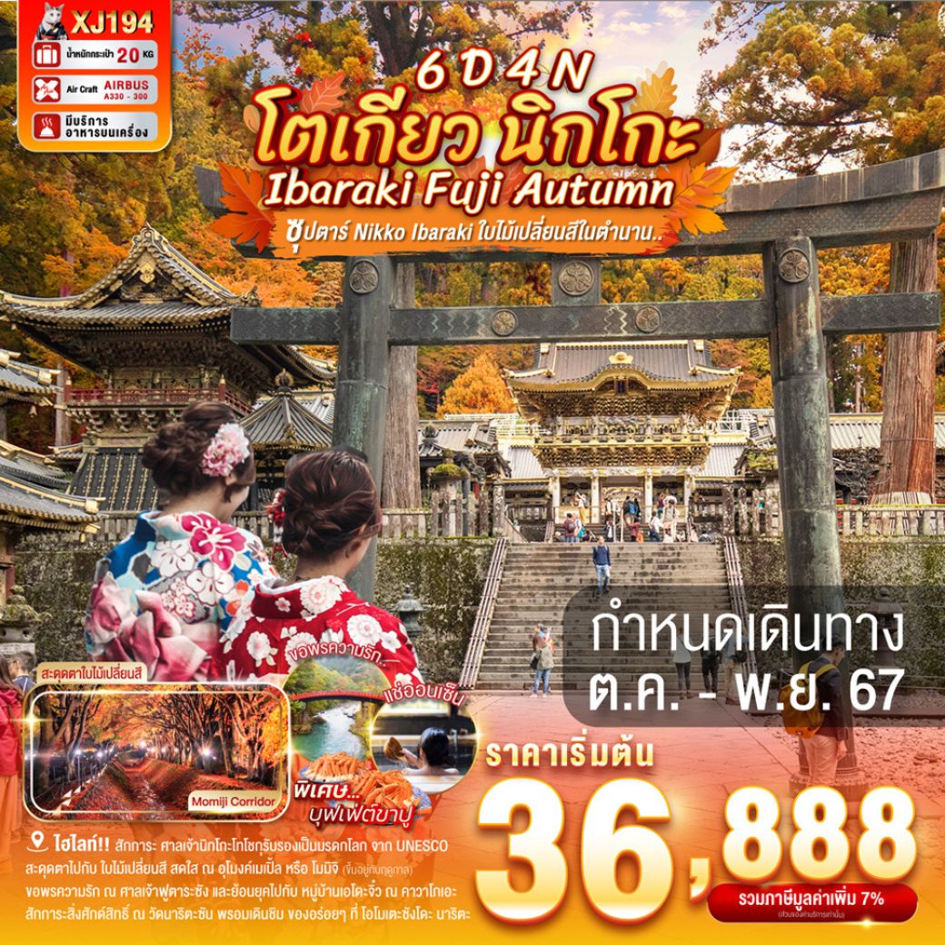 ไฮไลท์!! สะดุดตาไปกับ ใบไม้เปลี่ยนสี สดใส ณ อุโมงค์เมเปิ้ล หรือ โมมิจิ(ขึ้นอยู่กับฤดูกาล) / สักการะ ศาลเจ้านิกโกะโทโชกุ ได้รับการรับรองเป็นมรดกโลก จาก UNESCO / ขอพรความรัก ณ ศาลเจ้าฟูตาระซัง และย้อนยุคไปกับ หมู่บ้านเอโดะจิ๋ว ณ คาวาโกเอะ จ.ไซตามะ / ขึ้น ภูเขาไฟฟูจิชั้น 5 สัญลักษณ์ของประเทศญี่ปุ่น (ขึ้นอยู่กับสภาพอากาศ) / สัมผัสวัฒนธรรมดั้งเดิมของชาวญี่ปุ่น เรียนพิธีชงชาญี่ปุ่น (Sado) / ตลาดเก่าแก่ของโตเกียว มีของอร่อยมากมายหลากหลายให้ท่านได้ชิม ณ ตลาดปลาซึกิจิ / สักการะสิ่งศักด์สิทธิ์ ณ วัดนาริตะซัน พรอมเดินชิม ของอร่อยๆ ที่ โอโมเตะซังโดะ นาริตะ / ช้อปปิ้งจุใจย่านดังกรุงโตเกียว โอไดบะ และ ชินจุกุ พร้อมเช็คอิน แลนด์มาร์คใหม่ แมวยักษ์ 3 มิติ / บุฟเฟ่ต์ขาปู และผ่อนคลายกับการแช่น้ำแร่ธรรมชาติ (ออนเซน)