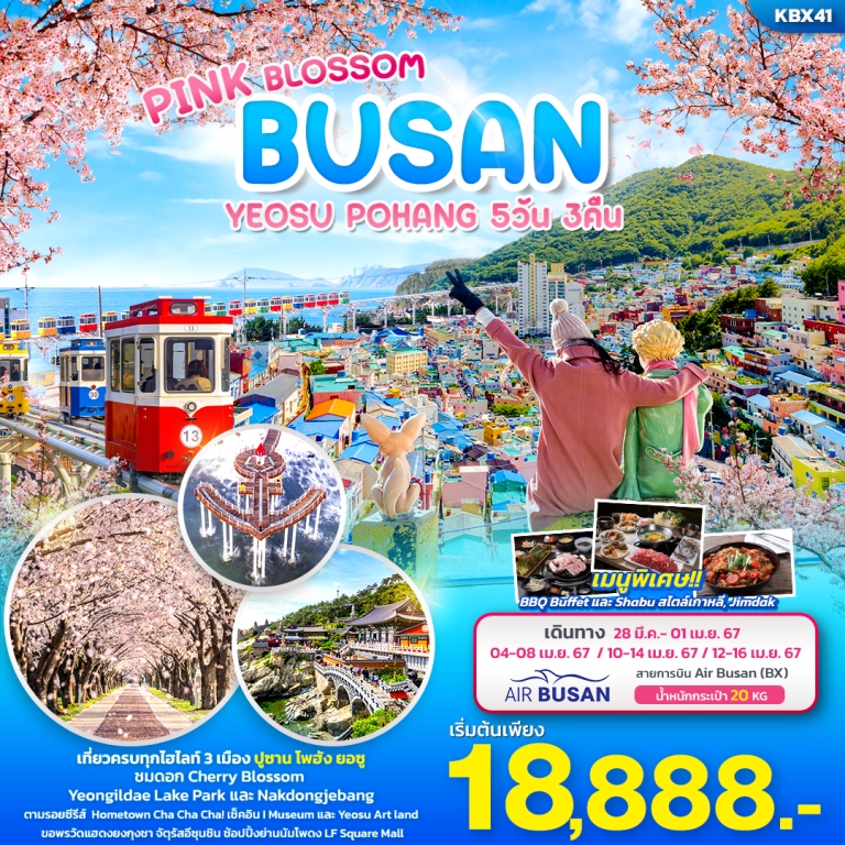 เที่ยวครบ 3 เมือง ปูซาน โพฮัง ยอซู 
<br>|ชมดอก Cherry Blossom Yeongildae Lake Park และ Nakdongjebang
<br>|ตามรอยซีรีส์ Hometown Cha Cha Cha! เช็คอิน I Museum และ Yeosu Art land 
<br>|ขอพร วัดแฮดงยงกุงชา จัตุรัสอีซุนชิน ช้อปปิ้ง ย่านนัมโพดง LF Square Mall