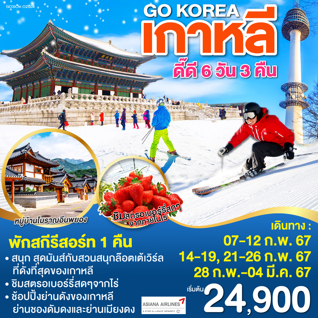 พักค้างคืนสกีรีสอร์ท 1 คืน | ไร่สตรอเบอร์รี่ | สวนสนุกล๊อตเต้เวิร์ล | ถนนชองดัมดง | หมู่บ้านโบราณอึนพยอง | พระราชวังชางด๊อกกุง | ย่านเมียงดง | เอ็นโซลทาวเวอร์ | ตลาดโบราณควางจัง