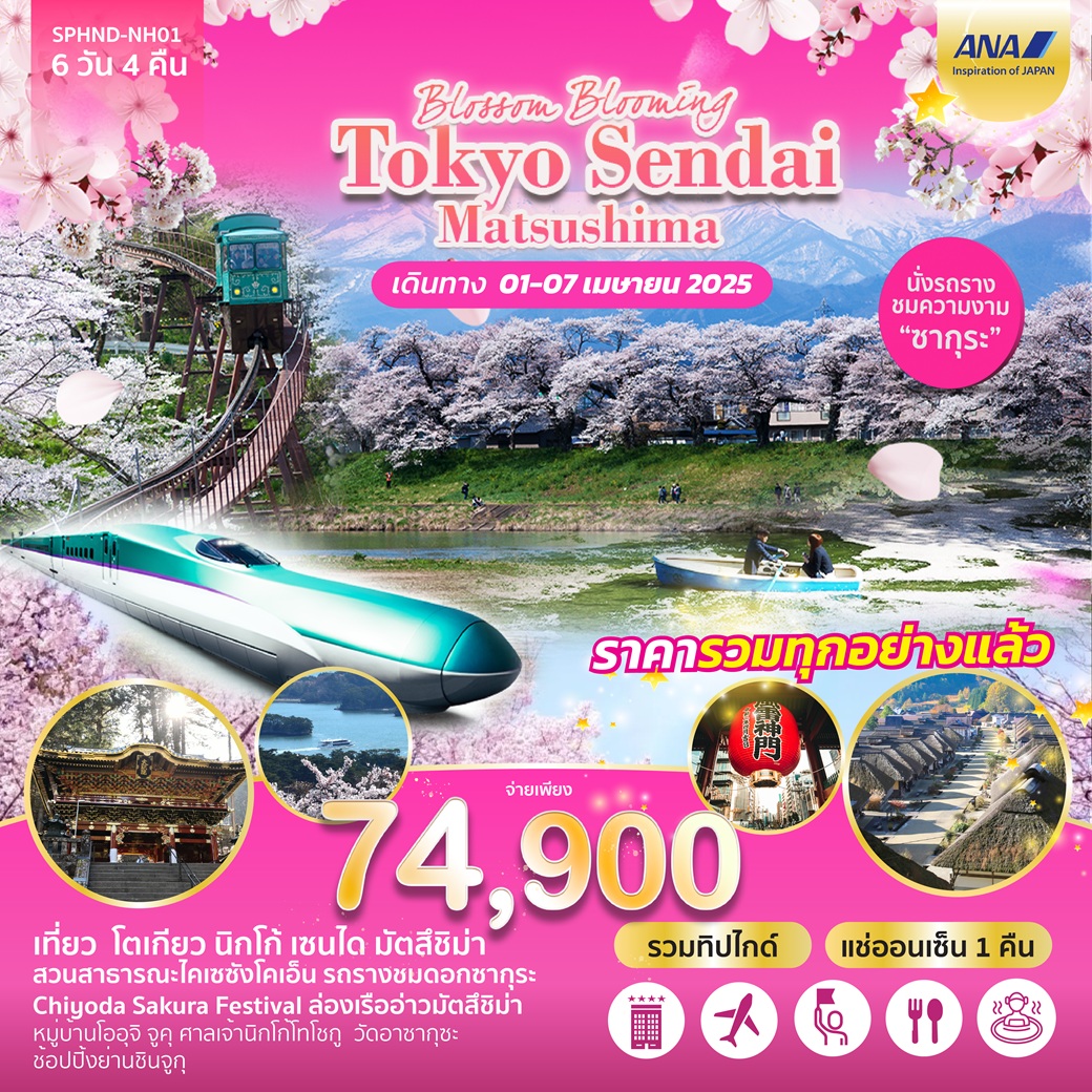 เที่ยว โตเกียว นิกโก้ เซนได มัตสึชิม่า
สวนสาธารณะไคเซซังโคเอ็น รถรางชมดอกซากุระ
Chiyoda Sakura Festival ล่องเรืออ่าวมัตสีชิม่า
หมู่บ้านโออุจิ จูคุ ศาลเจ้านิกโกโทโชกู วัดอาชากุซะ
ช้อปปิ้งย่านชินจูกุ ชิบูย่า
