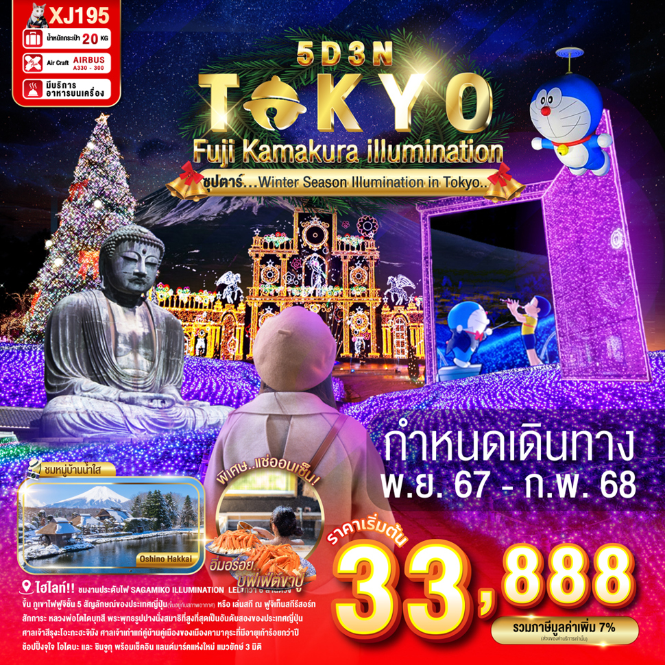 ไฮไลท์!! ชมงานประดับไฟ SAGAMIKO ILLUMINATION ตระการตากับไฟ LED กว่า 6 ล้านดวง 
ขึ้น ภูเขาไฟฟูจิชั้น 5 สัญลักษณ์ของประเทศญี่ปุ่น(ขึ้นอยู่กับสภาพอากาศ) หรือ เล่นสกี ณ ฟูจิเท็นสกีรีสอร์ท
หมู่บ้านโอชิโนะฮักไก วิวภูเขาไฟฟูจิสีขาวตัดกับพื้นหลังสีฟ้า เป็นภาพที่สวยงามมาก
สักการะ หลวงพ่อโตไดบุทสึ พระพุทธรูปปางนั่งสมาธิที่สูงที่สุดเป็นอันดับสองของประเทศญี่ปุ่น
ศาลเจ้าสีรุงะโอะกะฮะจิมัง ศาลเจ้าเก่าแก่คู่บ้านคู่เมืองของเมืองคามาคุระที่มีอายุเก้าร้อยกว่าปี
สัมผัสวัฒนธรรมดั้งเดิมของชาวญี่ปุ่น เรียนพิธีชงชาญี่ปุ่น (Sado)
ช้อปปิ้งจุใจ โอไดบะ และ ชินจูกุ พร้อมเช็คอิน แลนด์มาร์คแห่งใหม่ แมวยักษ์ 3 มิติ