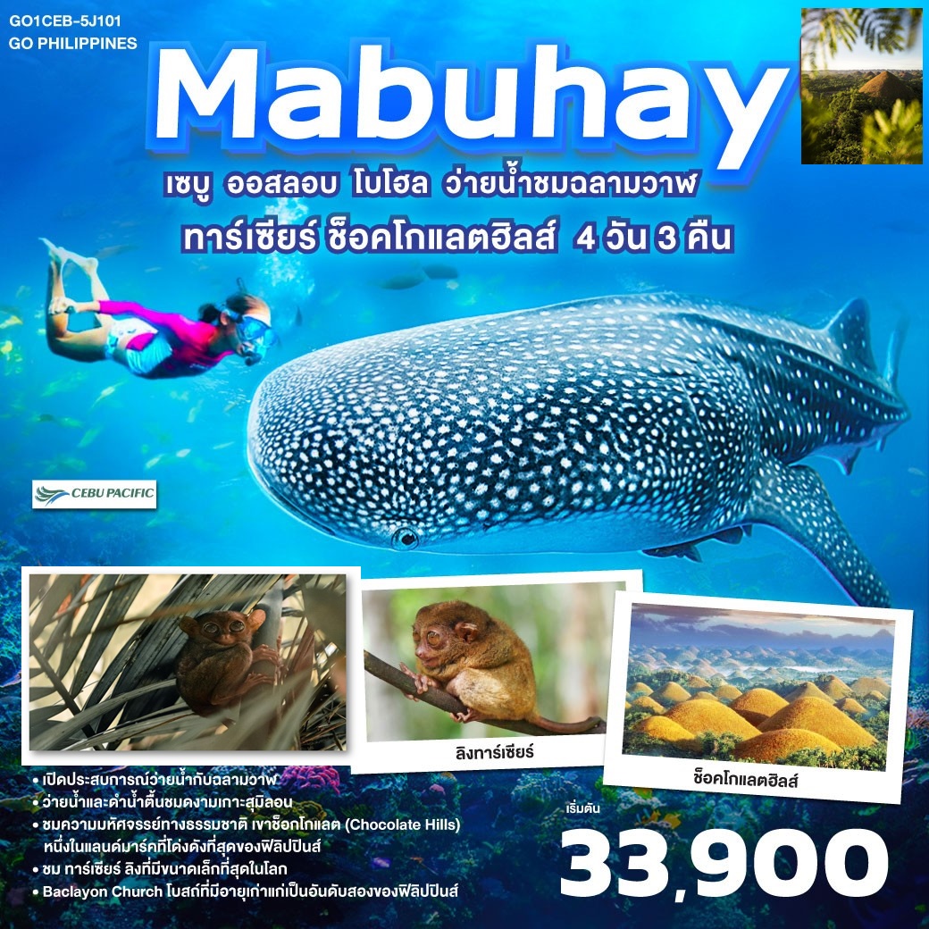 เปิดประสบการณ์ว่ายน้ำกับฉลามวาฬ - ว่ายน้ำและดำน้ำตื้นชมดงามเกาะสุมิลอน - ชมความมหัศจรรย์ทางธรรมชาติ เขาช็อกโกแลต (Chocolate Hills)หนึ่งในแลนด์มาร์คที่โด่งดังที่สุดของฟิลิปปินส์ - ชม ทาร์เซียร์ ลิงที่มีขนาดเล็กที่สุดในโลก - Baclayon Church โบสถ์ที่มีอายุเก่าแก่เป็นอันดับสองของฟิลิปปินส์