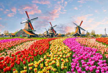 มหาวิหารนอเทรอดาม - ล่องเรือแม่น้ำแซน – พิพิธภัณฑ์ลูฟท์ - ห้างลา ซามาริแตง - ปารีส - ย่านมงมาร์ต - นั่งรถราง FUNICULAR - หอไอเฟล - ประตูชัย - ห้างแกลลอรี่ ลาฟาแยทท์  - La Village Outlet - บรัสเซลส์ - จัตุรัสกรองด์ปลาสต์ - ถ่ายรูปกับ เมเนเก้นพีส – Roermond outlet – รอตเตอร์ดัม - บ้านลูกเต๋า - อัมสเตอร์ดัม  - ล่องเรือหลังคากระจก – สถาบันสอนการเจียระไนเพชร – จัตุรัสดัมสแควร์ – ย่านโคมแดง  – เทศกาลดอกไม้เคอเคนฮอฟ - หมู่บ้านกังหันลมซานสคันส์  - หมู่บ้านชาวประมง