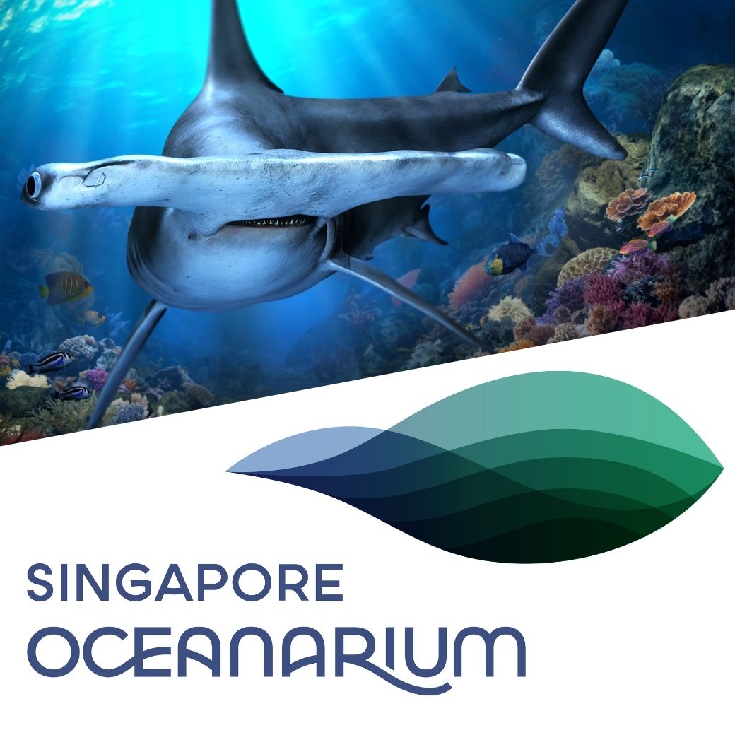 ผจญภัยไปในมหาสมุทรอย่างที่ไม่เคยมีมาก่อน  สำรวจโซนสุดล้ำที่ถ่ายทอดเรื่องราวของมหาสมุทรในอดีต ปัจจุบัน และอนาคต ผ่านการเล่าเรื่องแบบดื่มด่ำและเทคโนโลยีแบบอินเทอร์แอคทีฟ