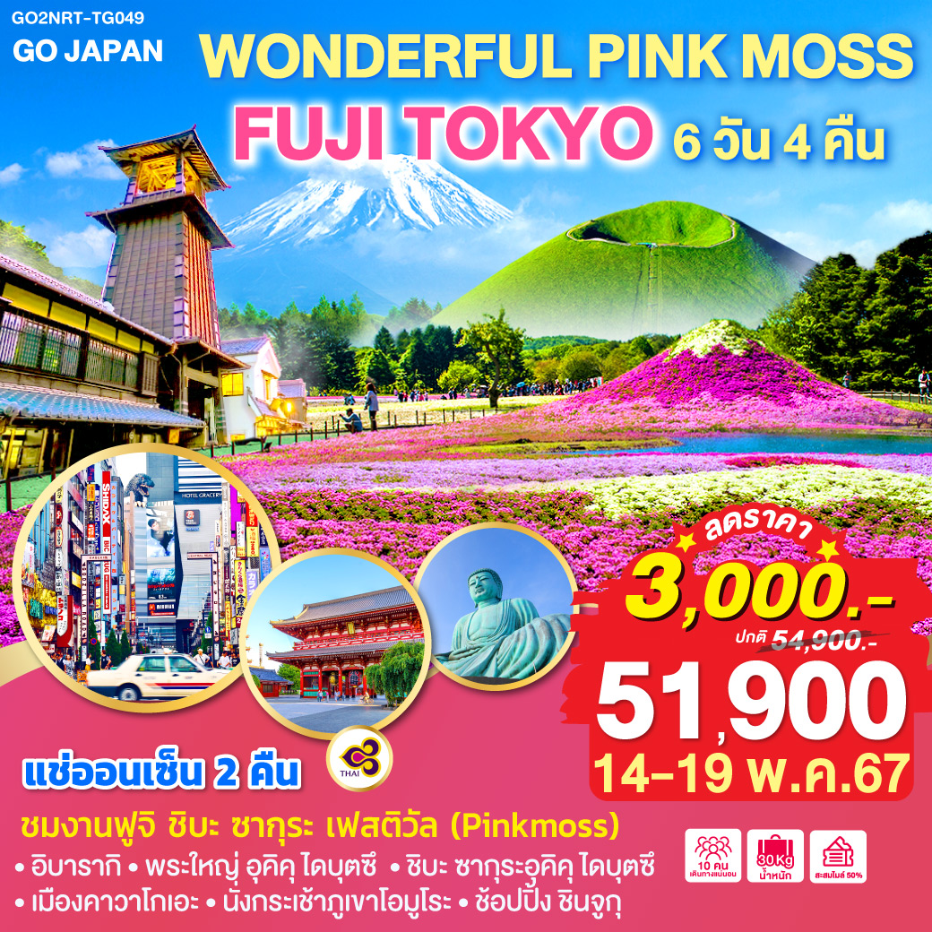 HIGHLIGHT
ชมงานฟูจิ ชิบะ ซากุระ เฟสติวัล (Pinkmoss) / แช่ออนเซ็น 2 คืน
อิบารากิ – พระใหญ่ อุคิคุ ไดบุตซึ – ชิบะ ซากุระอุคิคุ ไดบุตซึ – เมืองคาวาโกเอะ – นั่งกระเช้า ภูเขาโอมูโระ – ช้อปปิ้ง ชินจูกุ