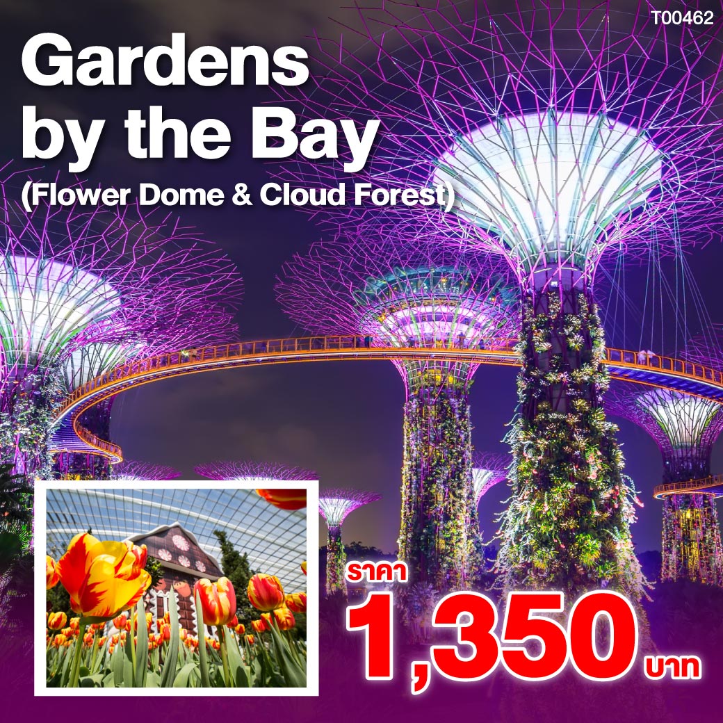 Garden by the Bay (การ์เด้นส์ บาย เดอะ เบย์) สถานที่ท่องเที่ยวชั้นนำของสิงคโปร์ พบโซนจัดแสดงพันธุ์ไม้นานาชนิด ได้แก่ Flower Dome (ฟลาวเวอร์โดม) Cloud Forest (คลาวด์ฟอเรสต์ หรือป่าแห่งเมฆหมอก) รวมถึง Floral Fantasy (ฟลอรัล แฟนตาซี)